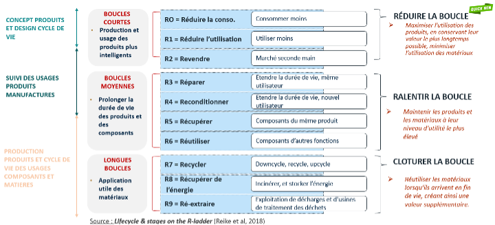 Lifecycle and stages on the R-ladder