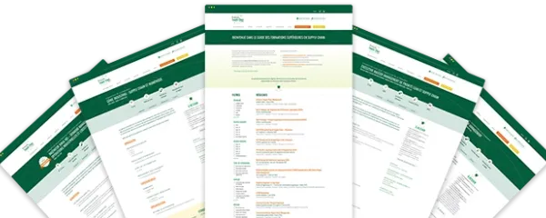 Aperçu de certaines page du guide des formations en Supply Chain digital